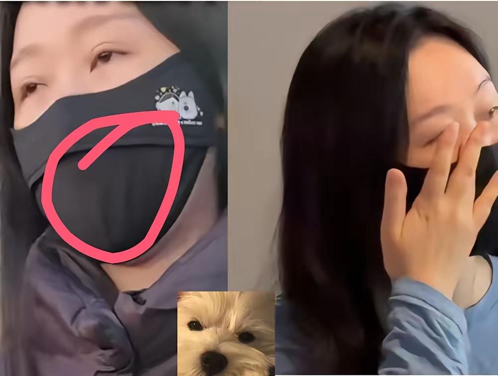 见过双标的，没见过这么双标的！李女士遛弯遇别人家狗就全副武装，怕被蹭到，转头对自