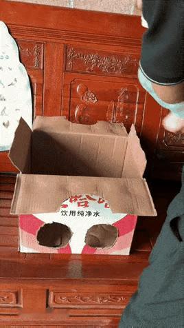 简直理发神器，应该全国推广～