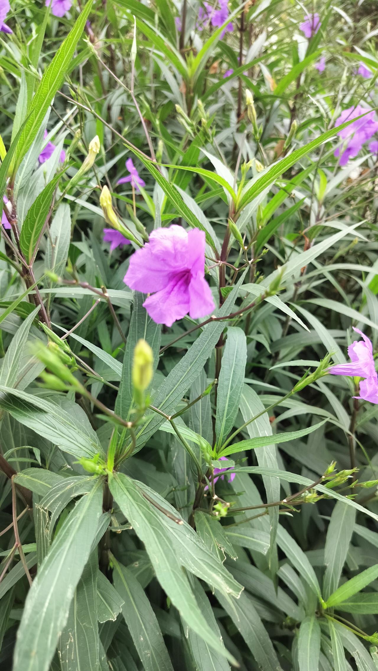 下班到家我把空调打开，晚上11点我把空调关起来，把风扇打开，这样整个屋子不是太热