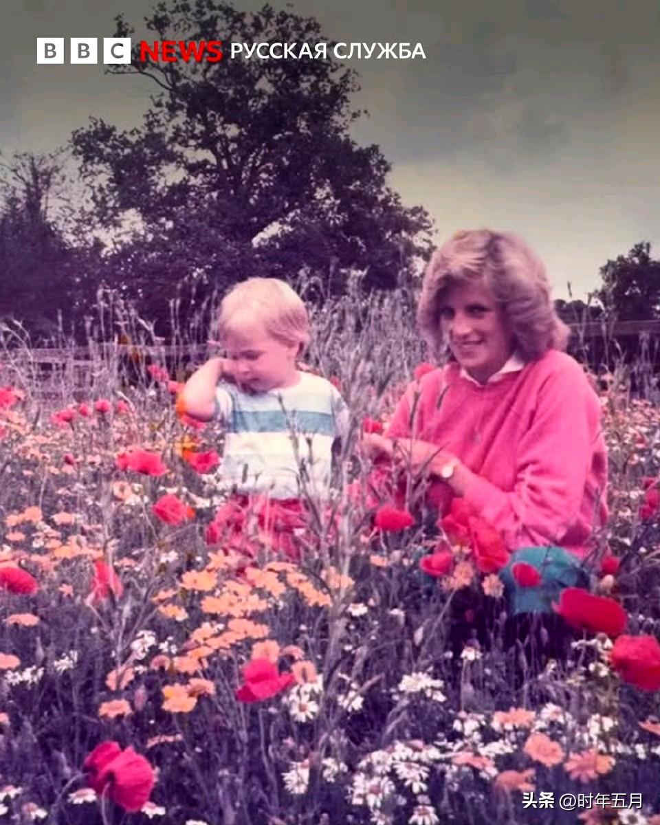 今天是英国的母亲节。
威廉王子为此 发布了一张与戴安娜王妃的合照。
这张照片来自