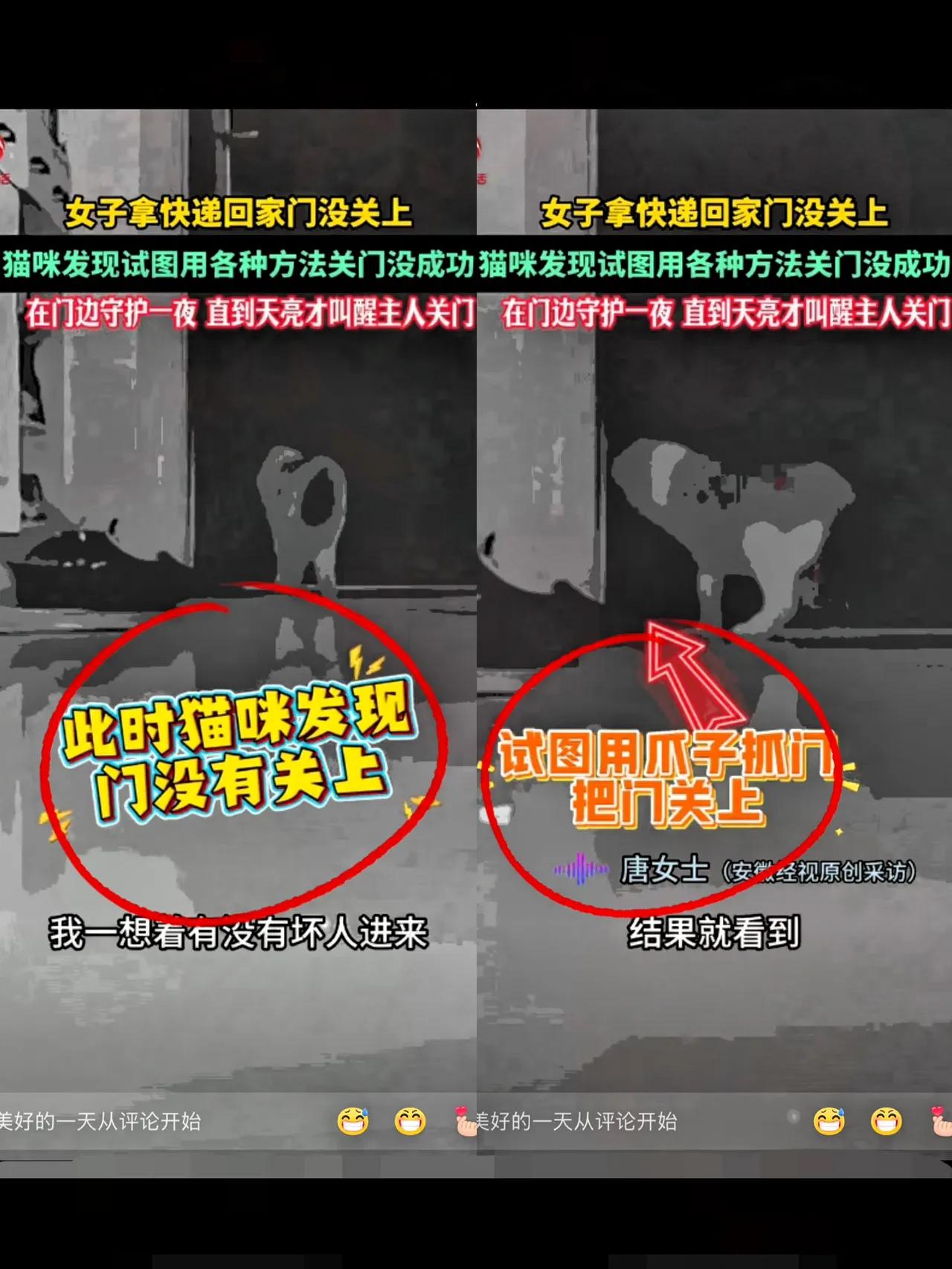 9月4日，发生在新疆的一件暖心事，感动了无数网友，也激励大家分享宠物的暖心举动。