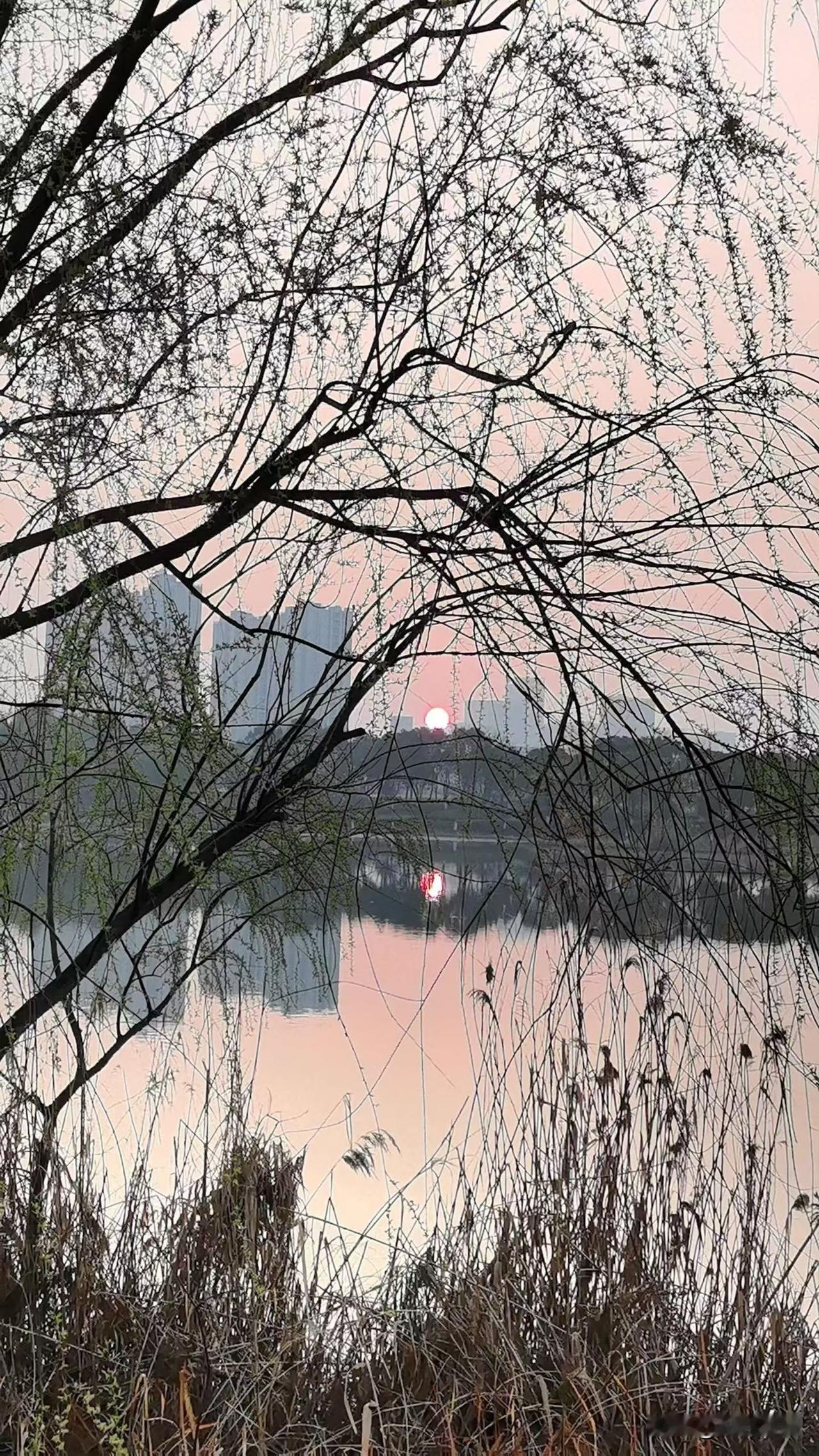 人老了,生病了,什么最重要?

人老了生了病，才明白啥荣华富贵都虚，真正重要的就