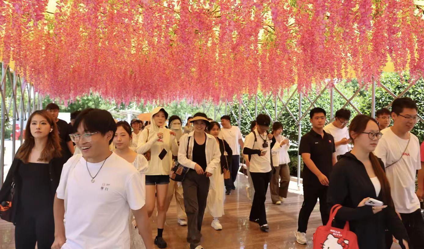 青春三下乡社会实践【寻访湖乡蝶变轨迹，体悟振兴奋进力量】为深度探寻乡村振兴微山样