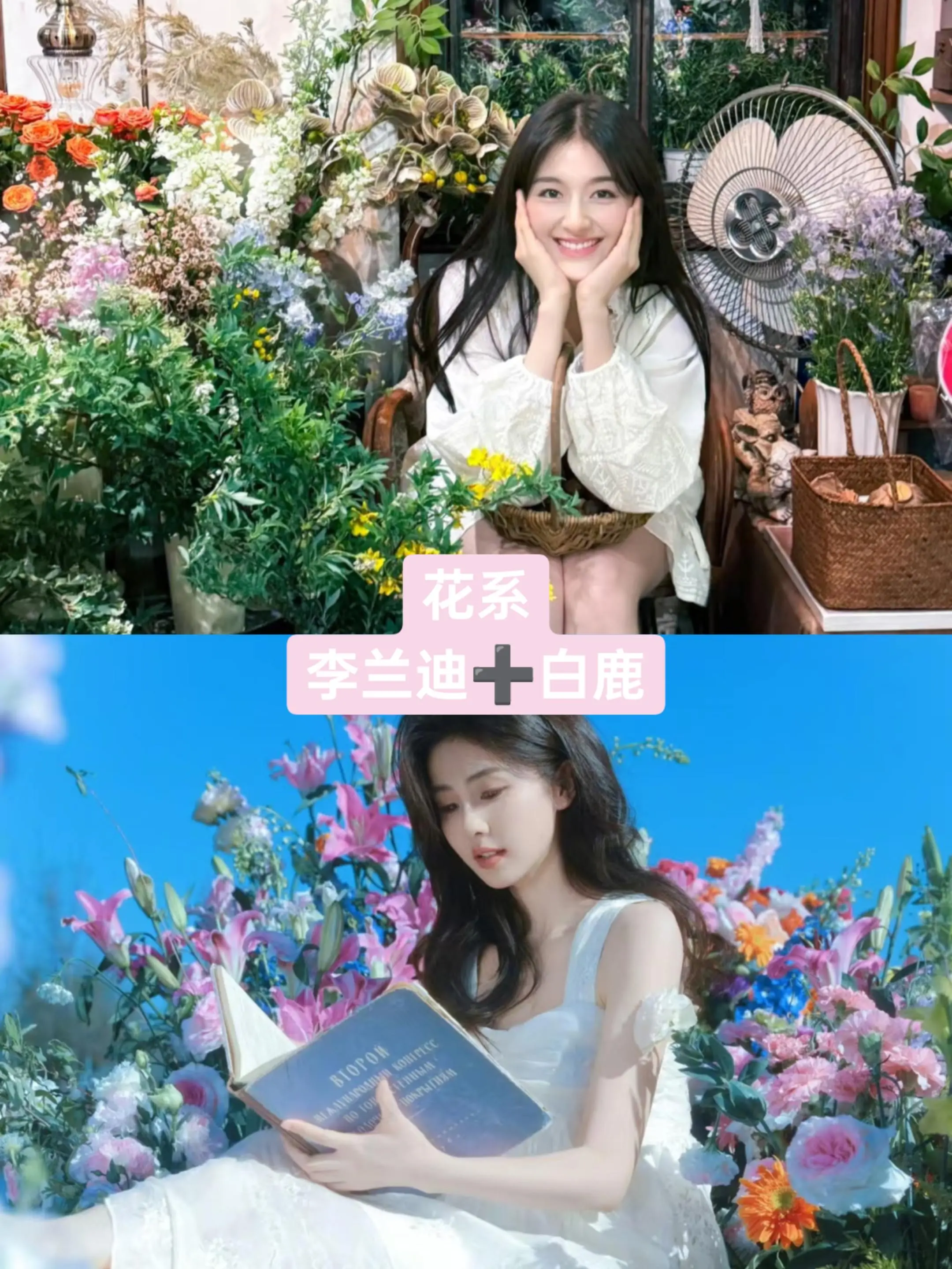 第二弹。百花齐放的女明星美女