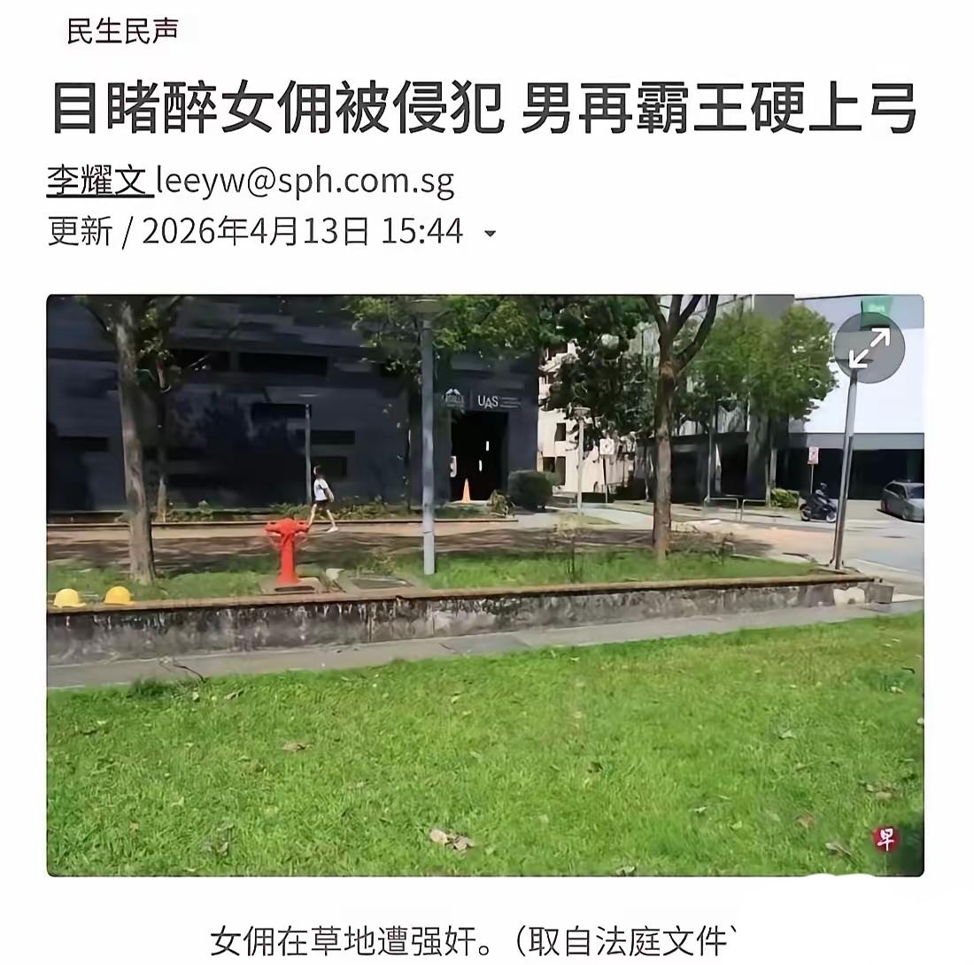 真的很难评！新加坡一32岁菲佣醉酒后，被两名男子侵害，一名是印度籍男子，一名是马