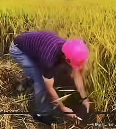 杭州一个32岁的程序员小伙，体检的时候查出高血压，医生劝他多休息、放松，别熬夜。