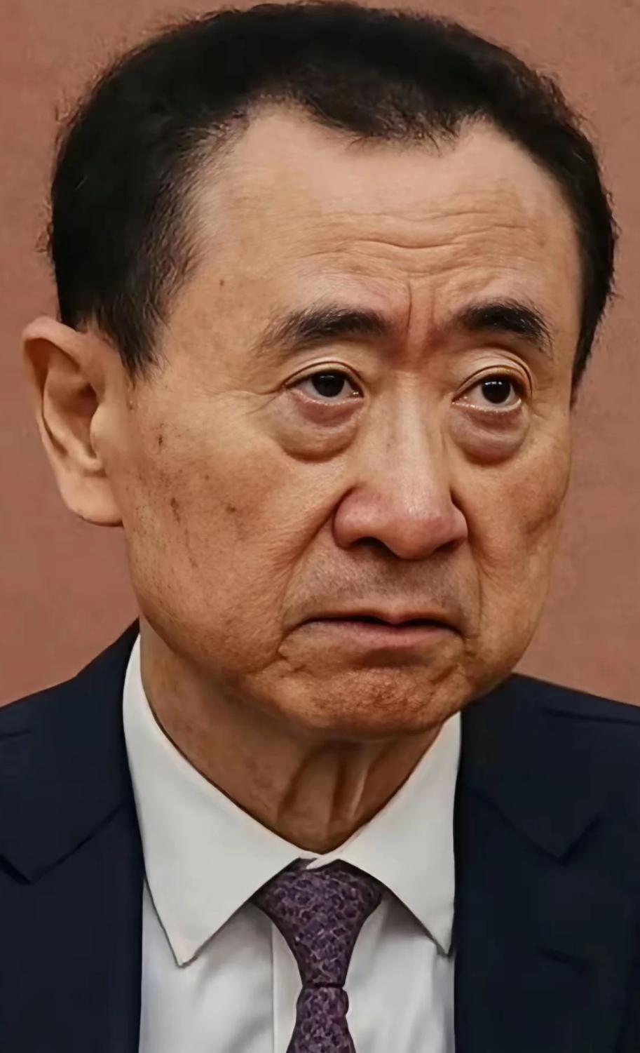 有个王健林这个爸爸真好，都快没剩几年的样子，儿子还天天玩的可高兴了。一脸苦相，一