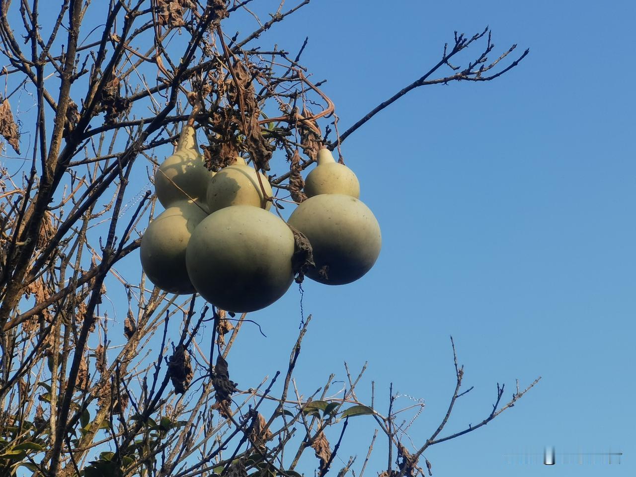 这个假期你出游了吗？

往年国庆假期，也是会“凑热闹”，从自己待腻了的地方到别人