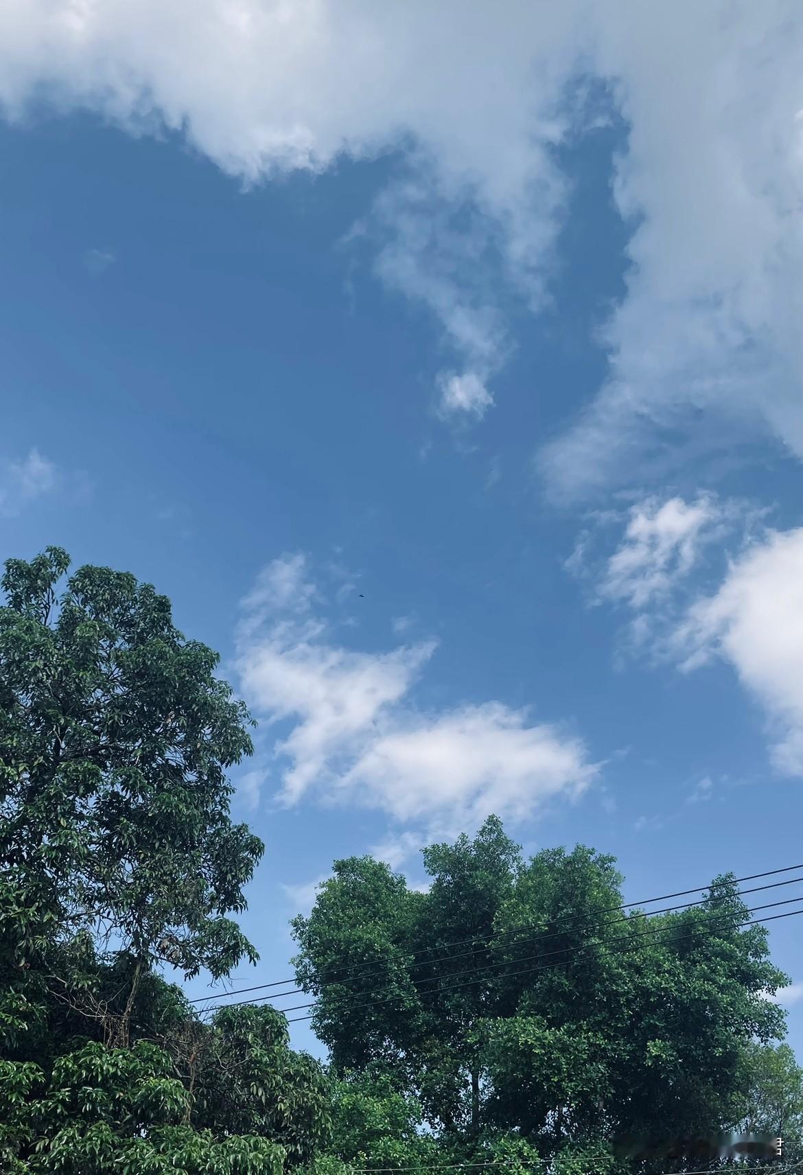 本想带两个孩子一起出去玩，大的孩子不愿意出去，小的看天气不怎么好，也不想出门，俩