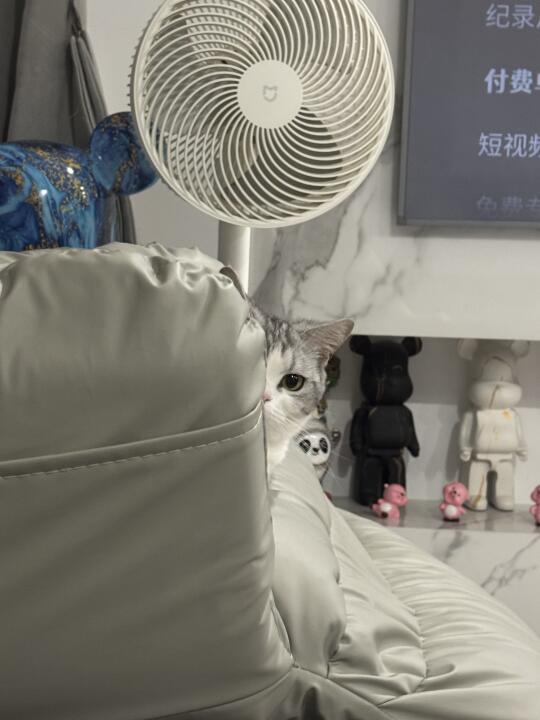 我会永远监视你