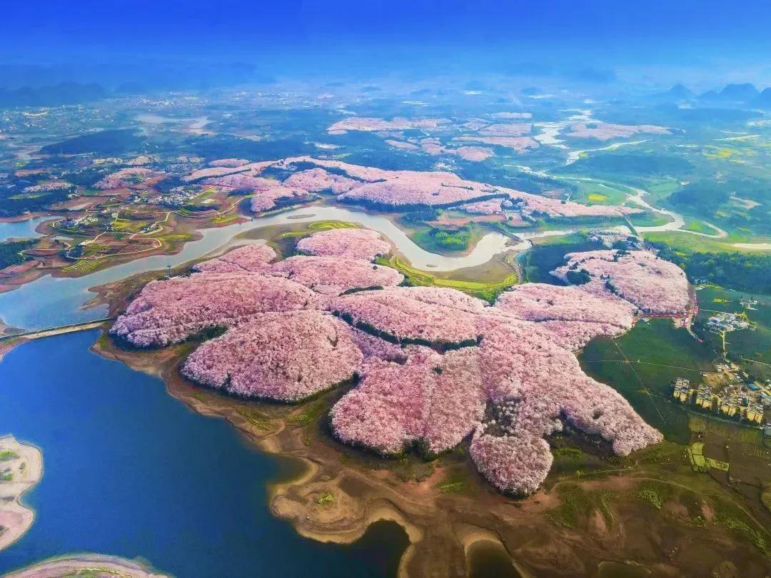 【作息越规律，生活自会越有序；精神越饱满，心情自会越舒畅；规律生活，会让人受益终