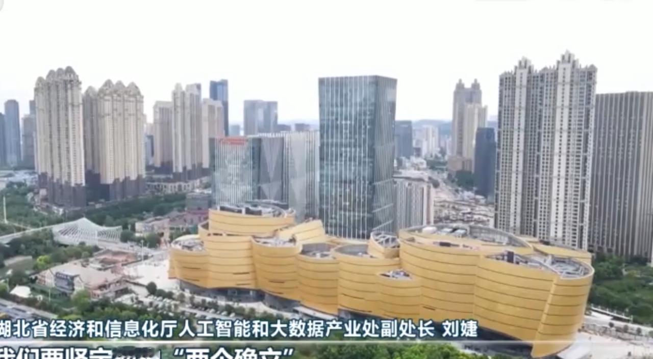 荆楚大地的科创潮涌，与基层的宣讲声、校园的课堂音，共同谱成发展的交响曲。武汉的高