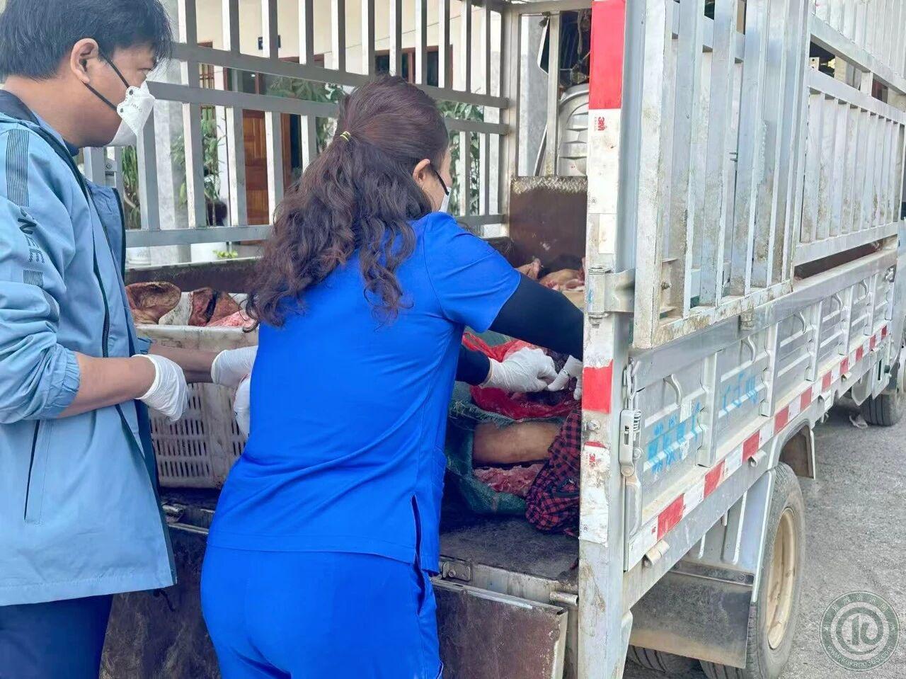 缅北果敢地区烧毁大量变质猪肉！

这批变质猪肉是小贩从佤邦南邓地区买进，之后在果