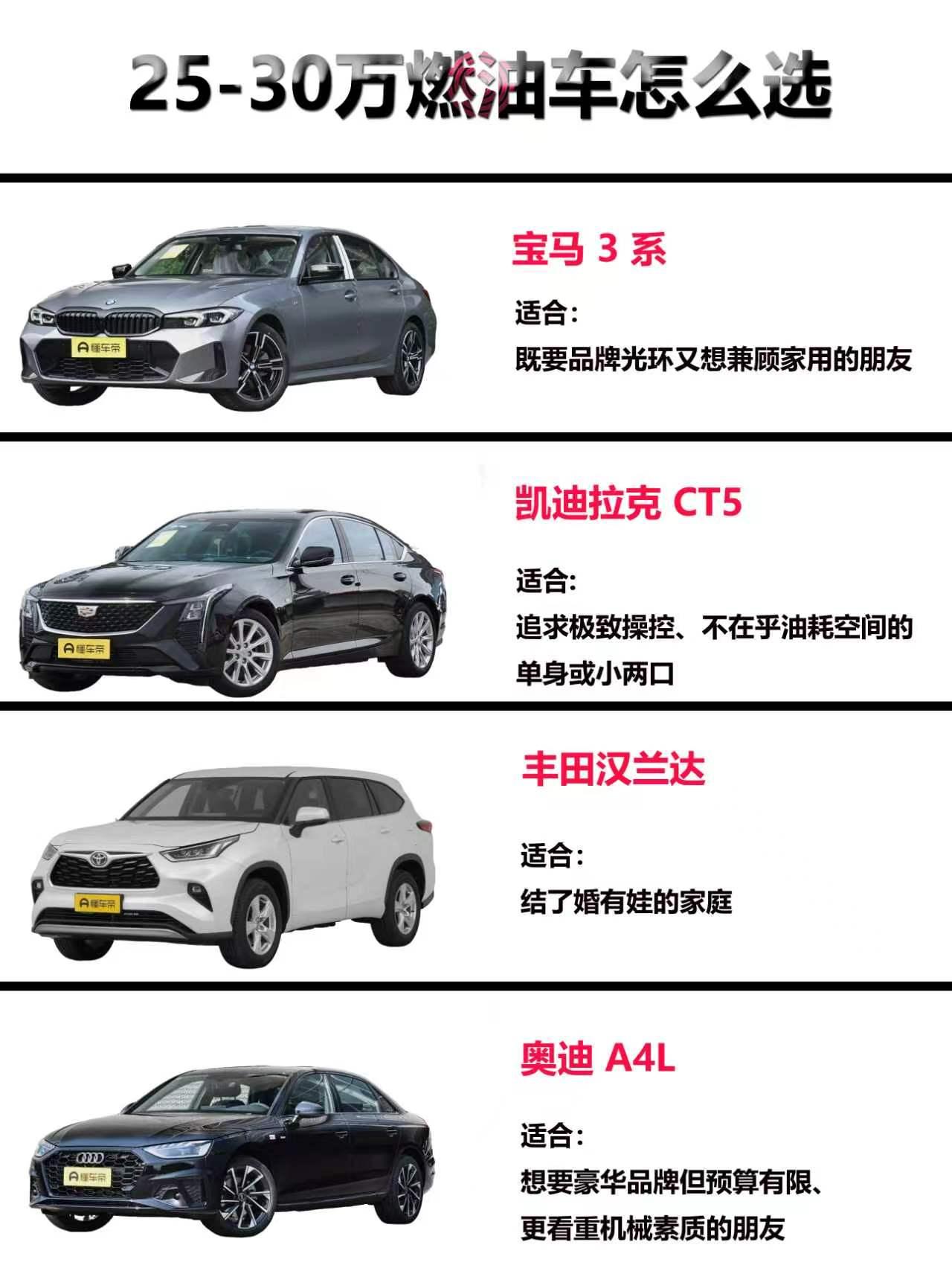 Hey 兄弟们！预算 25-30 万还在纠结买啥燃油车？今天不讲枯燥的参数，聊点