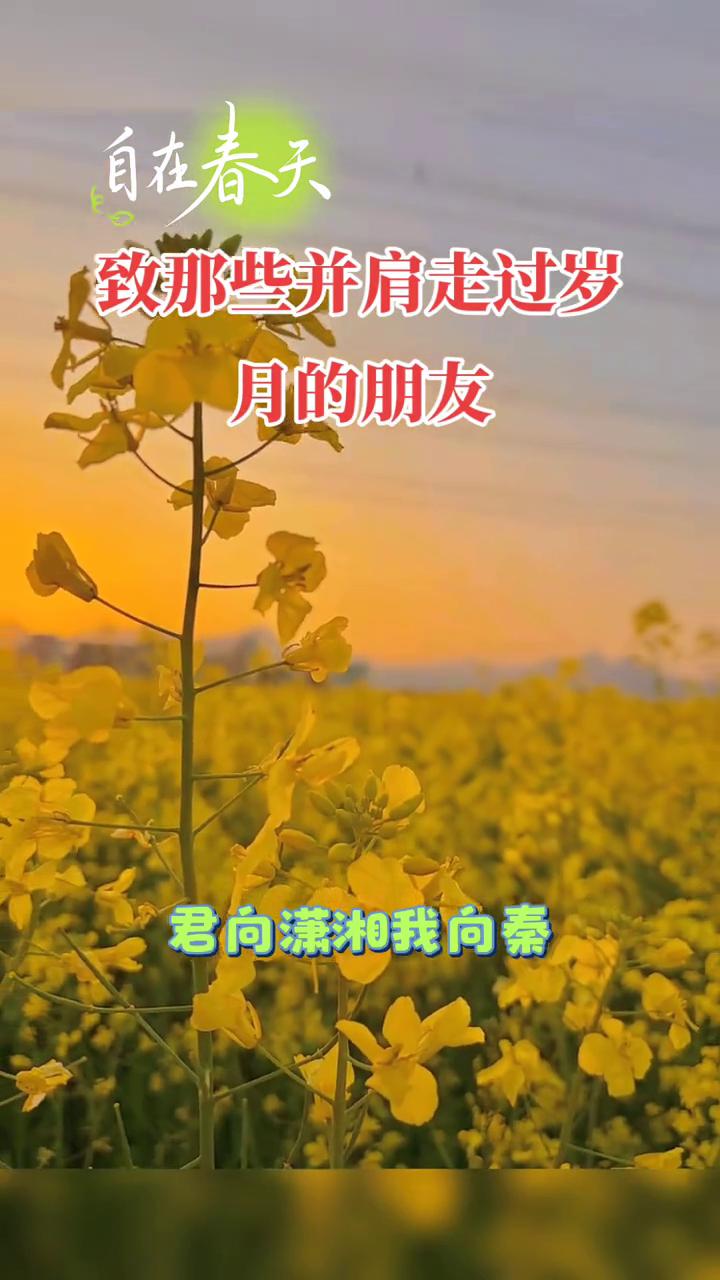 自在春天。
致那些并肩走过岁月的朋友。
很多人没再见面，很多人不再联系。人生南北
