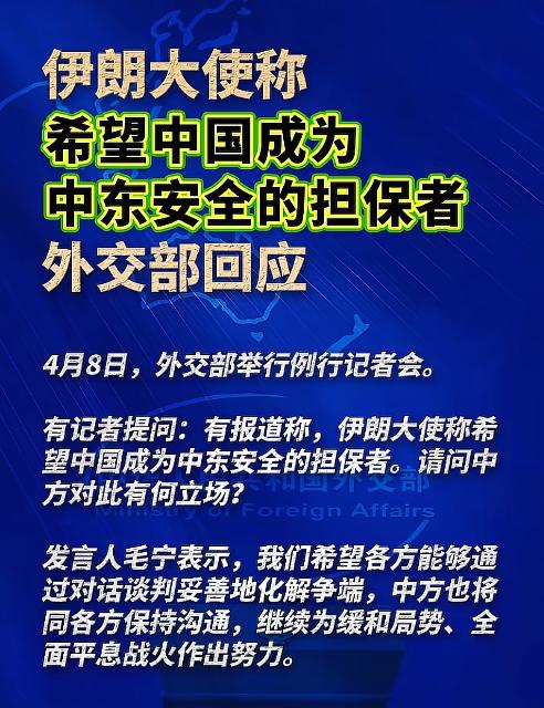担保就算了吧，有事找巴基斯坦吧。中东的火药桶我们没必要跳下去。
