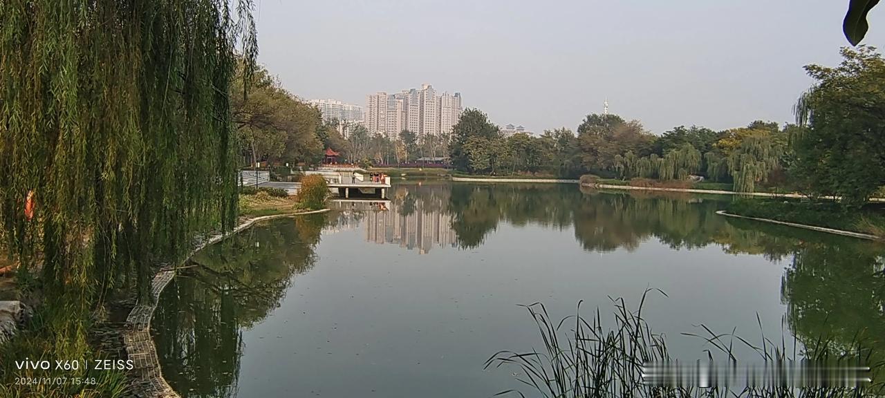 #做饭是女人应该的事吗#做饭，洗衣，看娃是女人主内之事，女的挺有意思，喜欢哪个男