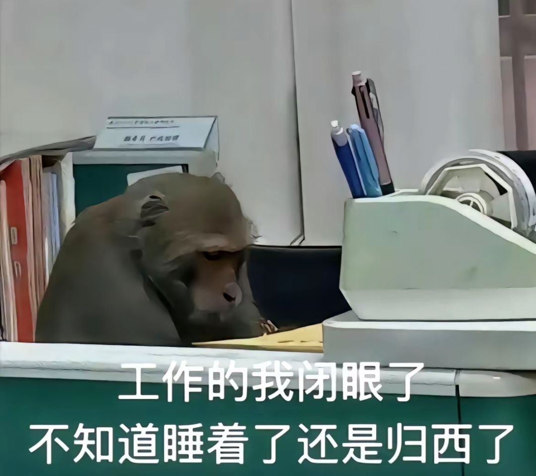 牛马喽表情包 ​​​