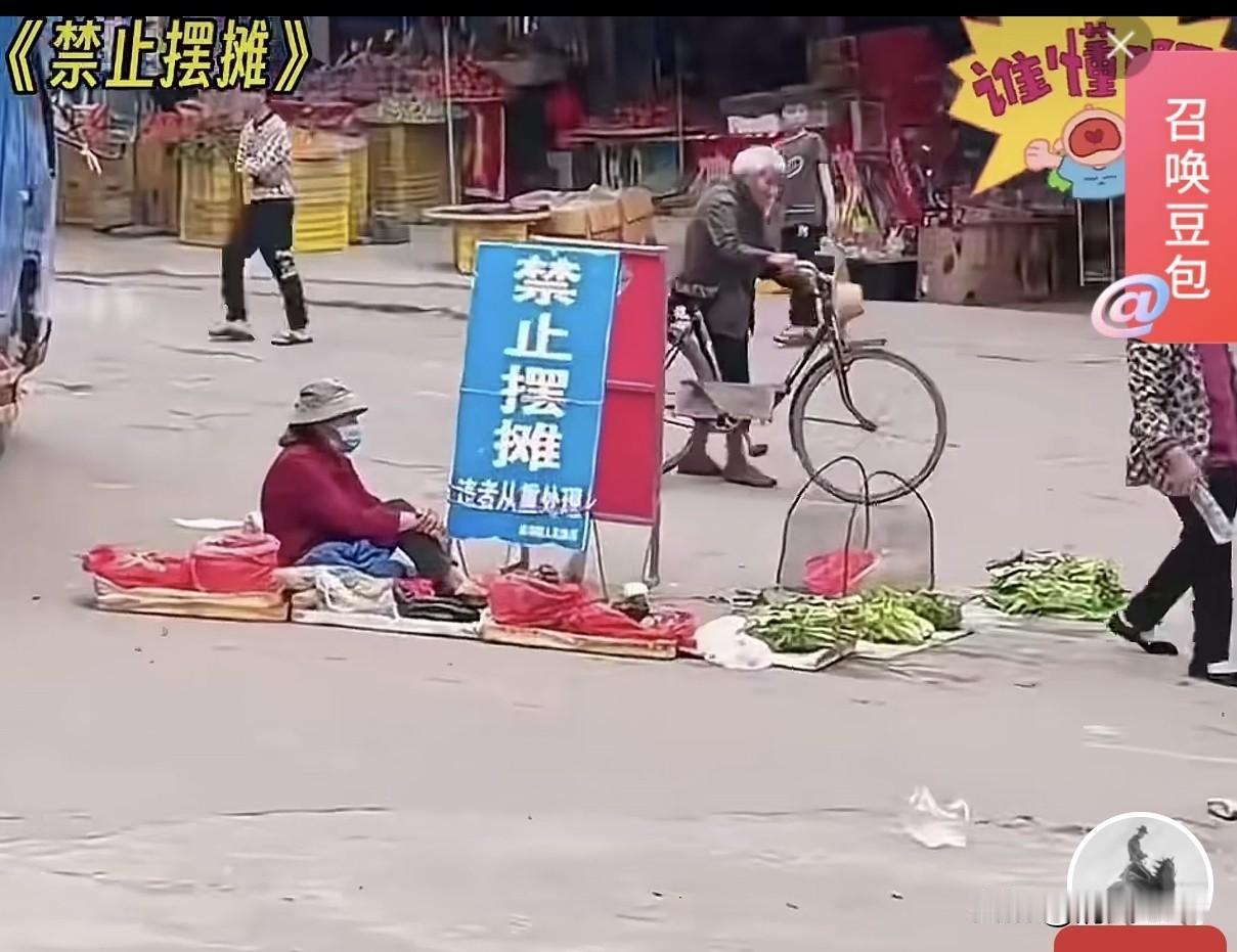 曲阜孔庙内千年柏树吹断与当下老师们的遭遇有关系吗？
   首先明确结论：二者没有