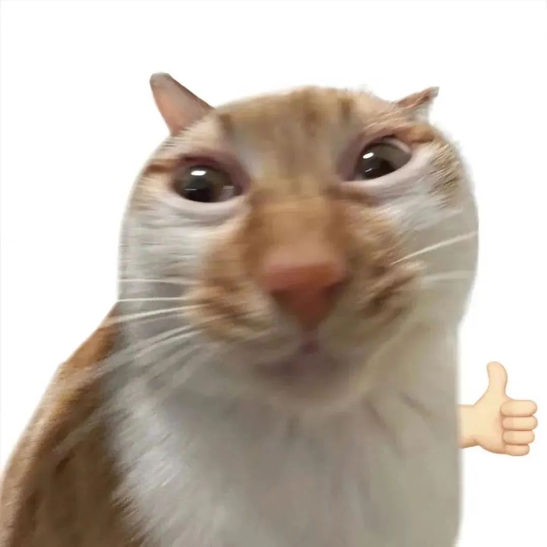 无法拒绝的meme抽象表情包 