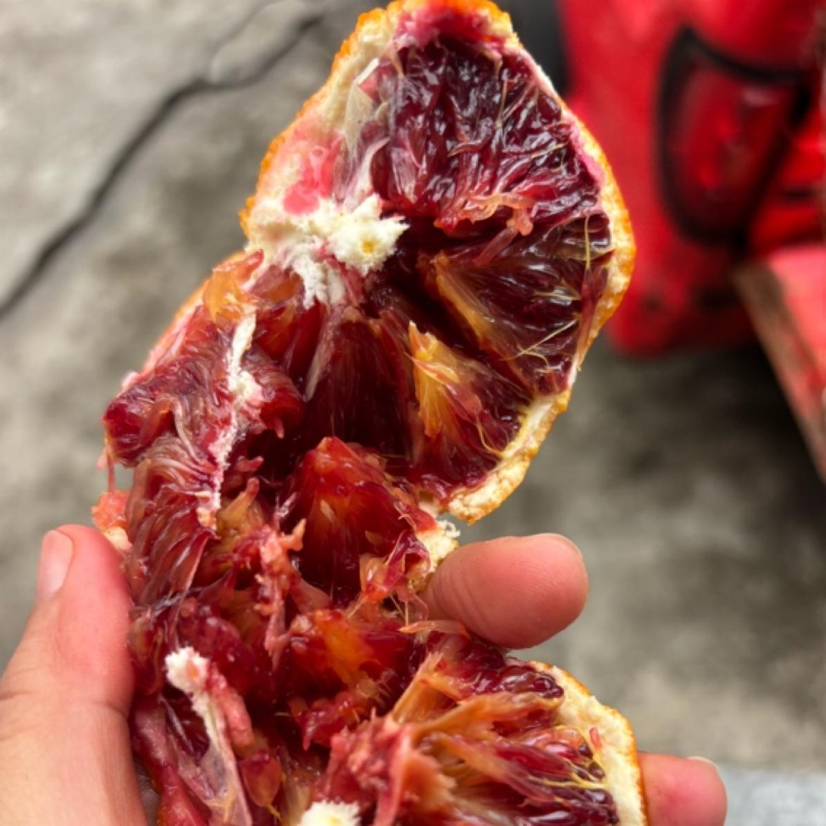 精选好物，品质有保证