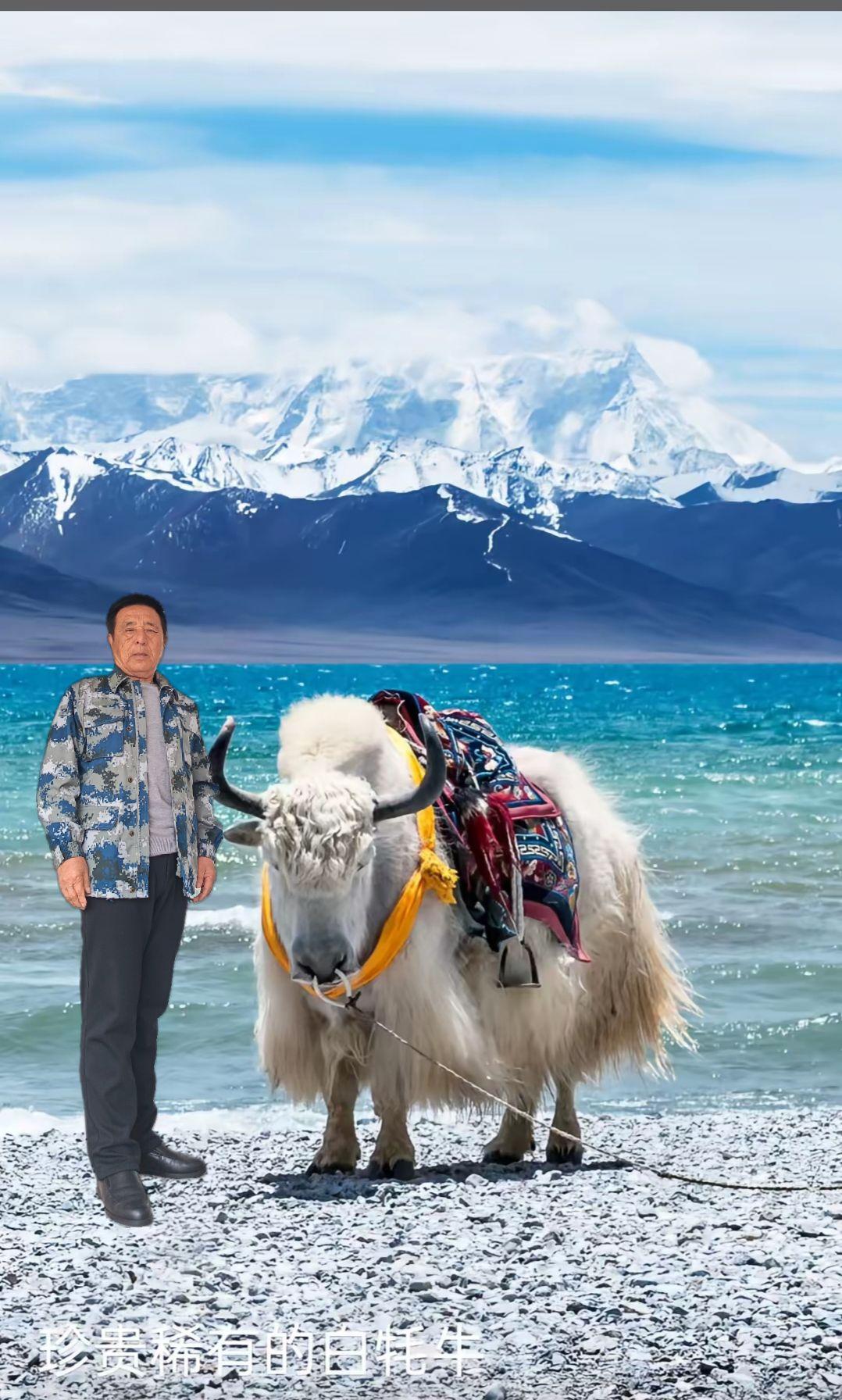 走进西藏，走向雪山，一一