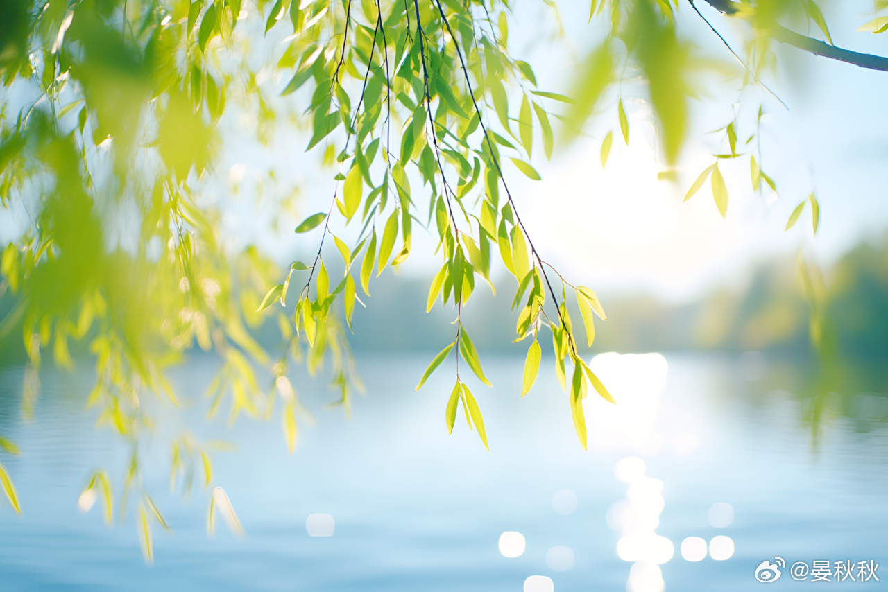 春分谁把春光，平分一半，最惜今朝。明天（3月20日）晚上的22时45分，我们将迎