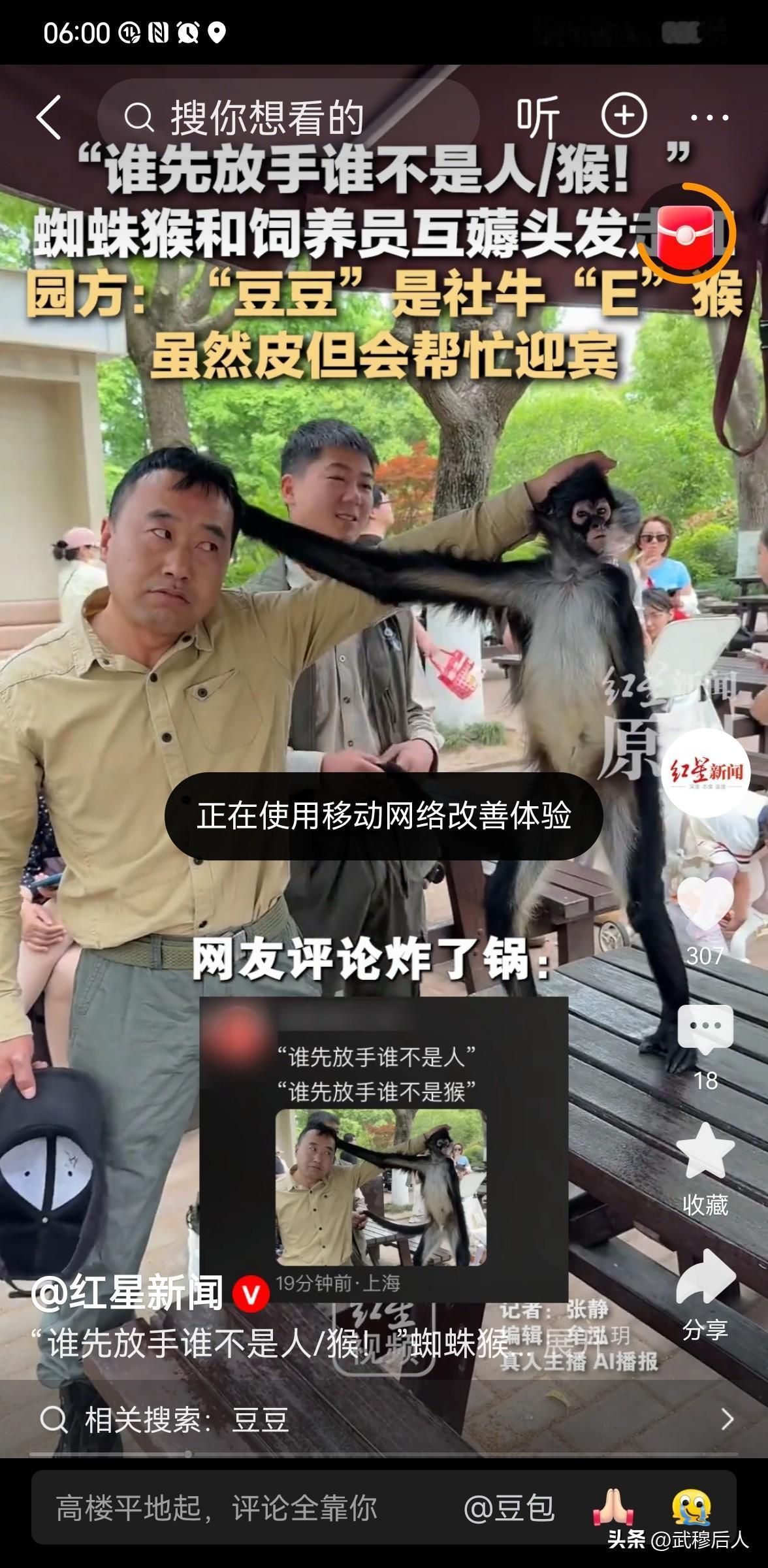 谁先放手谁不是人/猴！蜘蛛猴豆豆与饲养员互薅头发，全网笑翻：这才是双向奔赴的爱