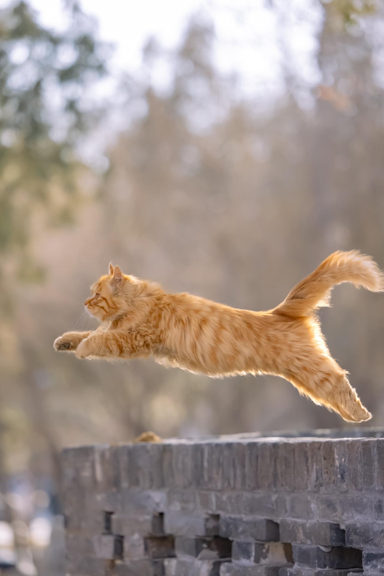 再见2025，冲鸭2026。马上就要2026啦，不管过去一年是喜是悲...