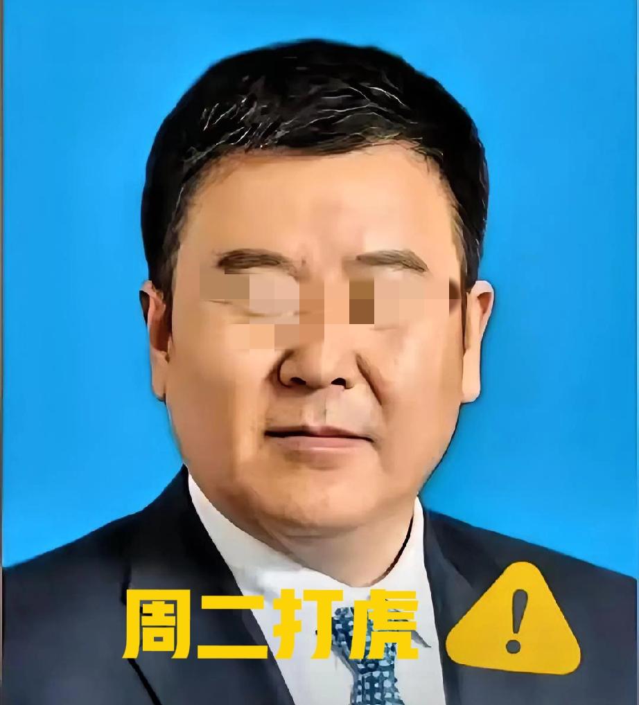 甘肃景泰那个57岁的“芮文刚”被查了。

看资料，人家22岁就端上了铁饭碗。在体