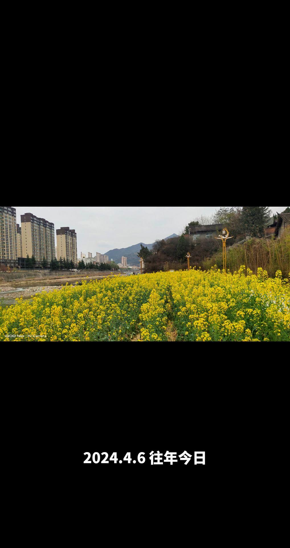 祝大家周末愉快心情美美哒 就这样记录你慢慢长大