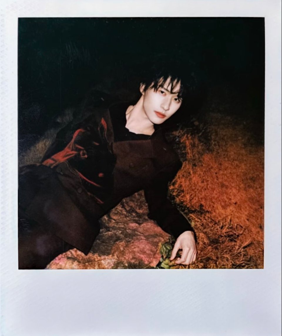 卧槽大家都别客气快来法！ 