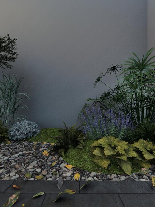 小院，有树有花有夏天