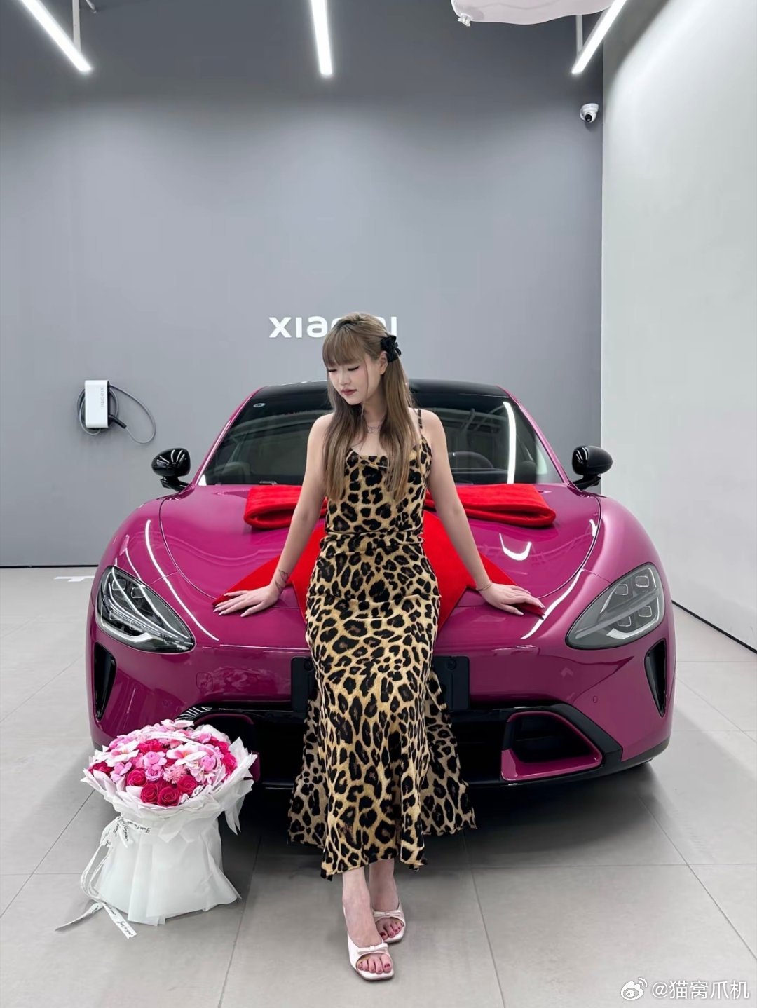 晚安。猫窝每日晚安新一代su7