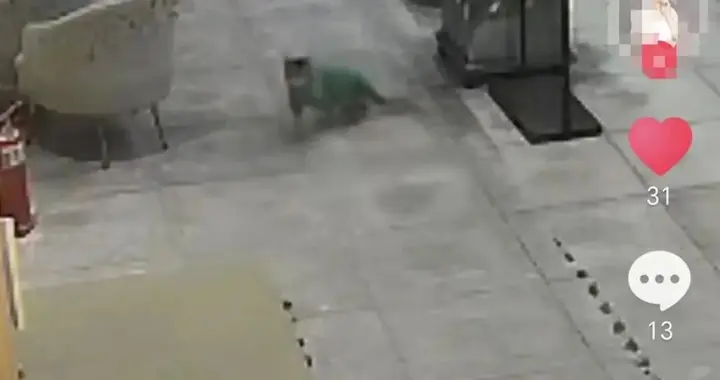 河南信阳夜间突传巨响！“楼房、窗户都在抖动，大批消防车出动”，官方最新通报