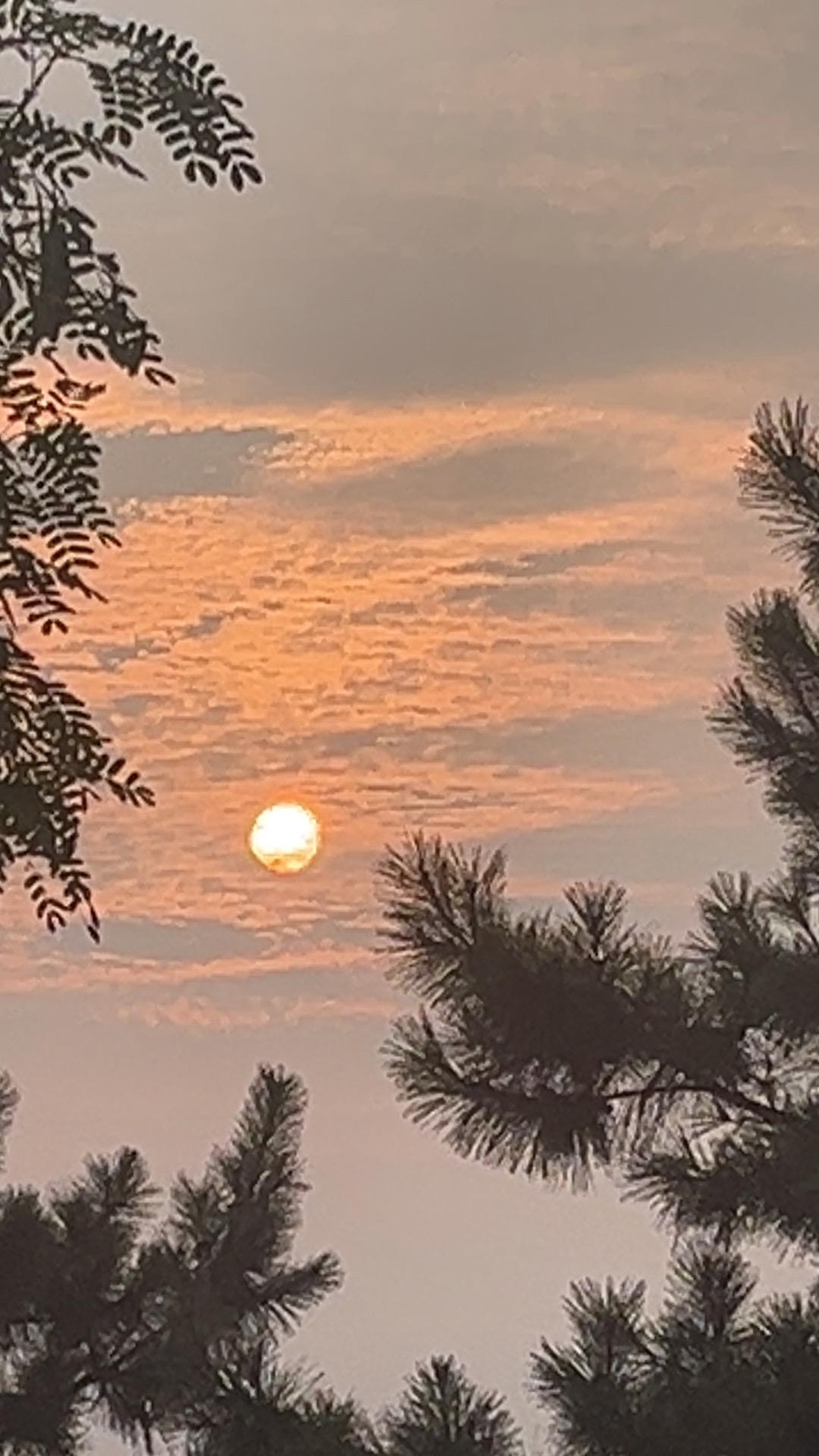 航空航天板块今天已经关门啦，明天的车事往山上开还是往山下开呢？目前来看天气条件还