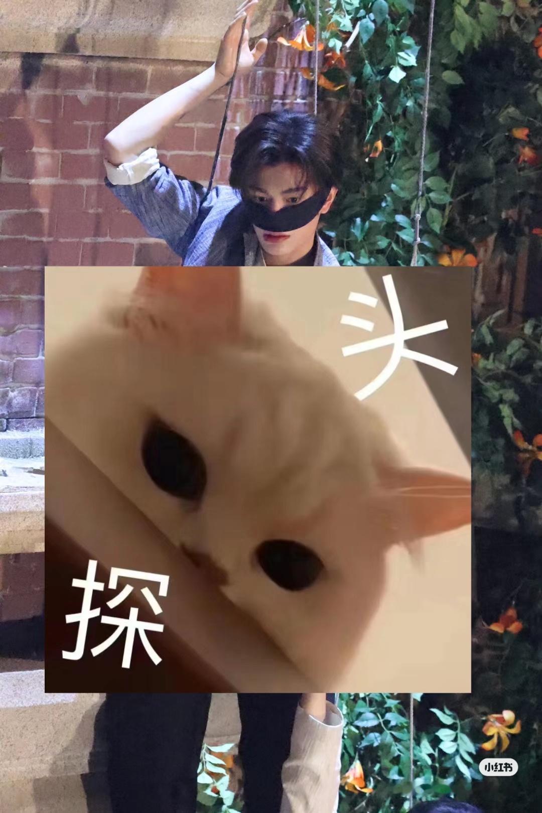 今天的路透好有古早味🥺 