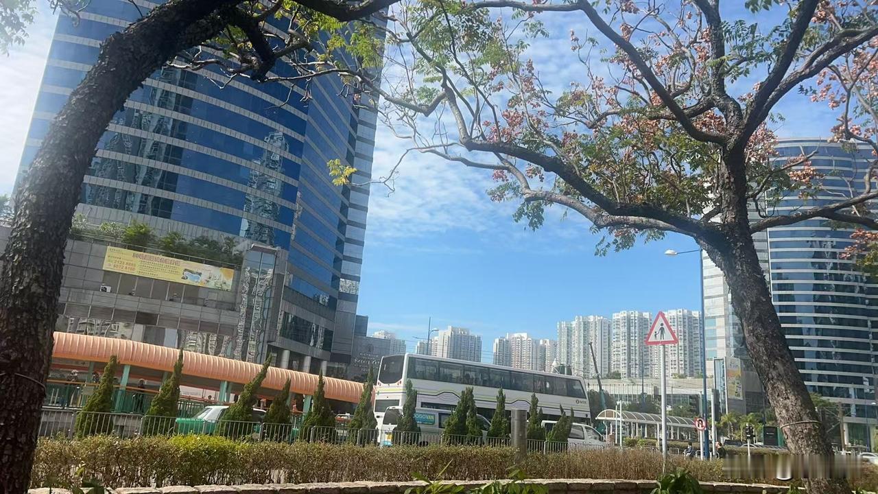 晴空万里，出门就撞见装扮一新的花车，拐过几个街角，另一户人家门口赫然挂着大红横幅