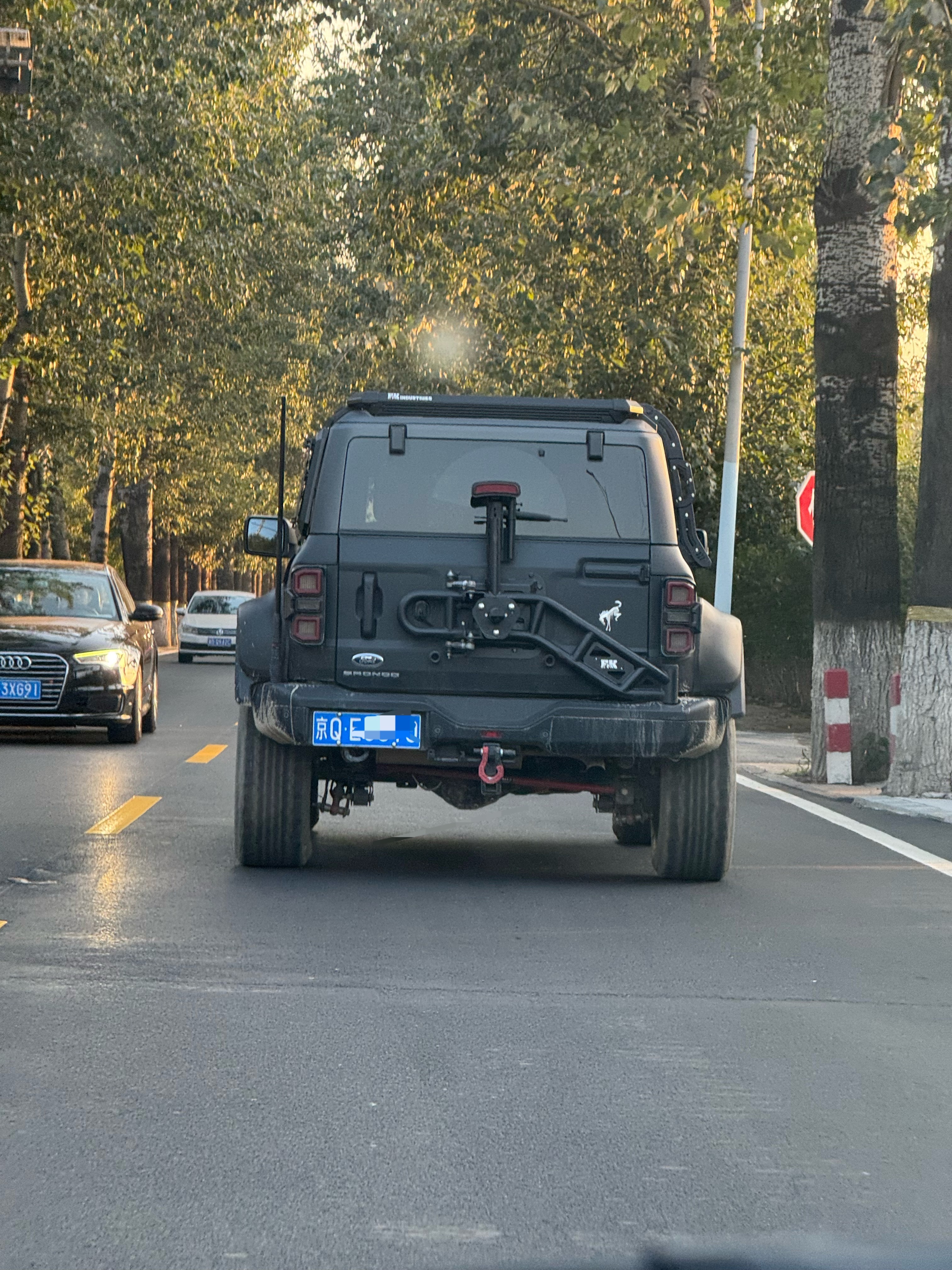 福特烈马 这大脚 这块头有点4x4²的劲头子了[并不简单] ​​​