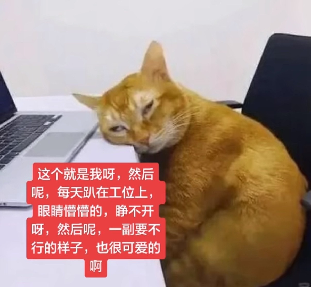 分享图片 
