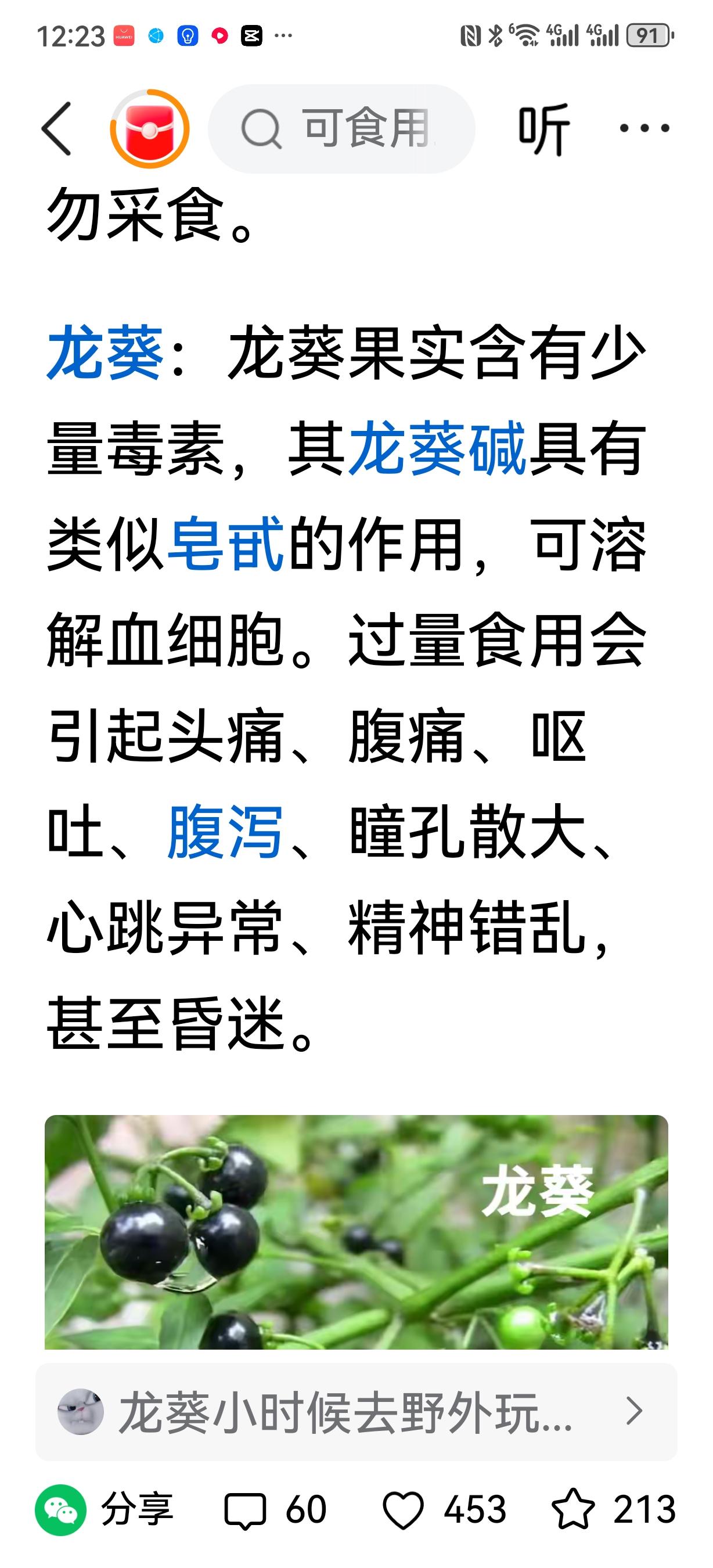 龙葵在我们河间叫野茄，我今天刷到了一扁小作文，才知道这东西有毒。
野茄的成熟期多