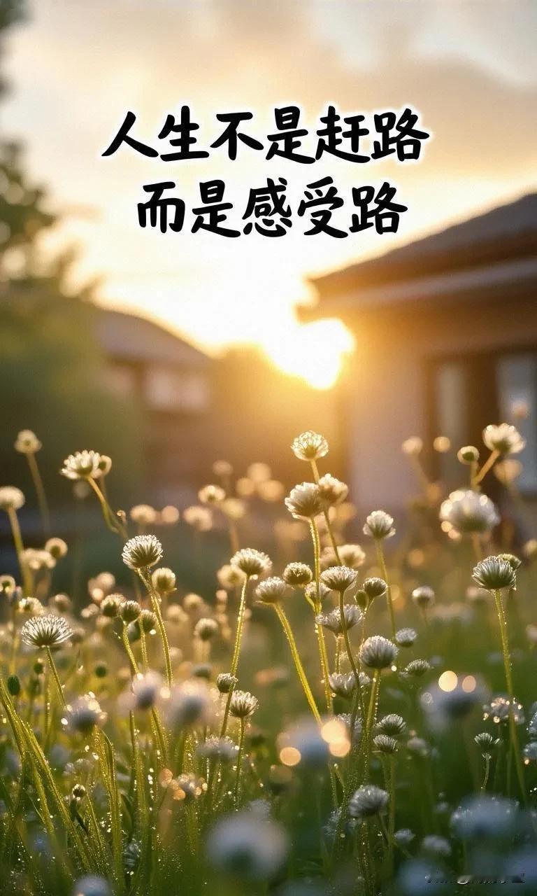周末的阳光正好，不妨驻足缓行，给忙碌的生活按下暂停键。沿途的风景里藏着生活的诗意