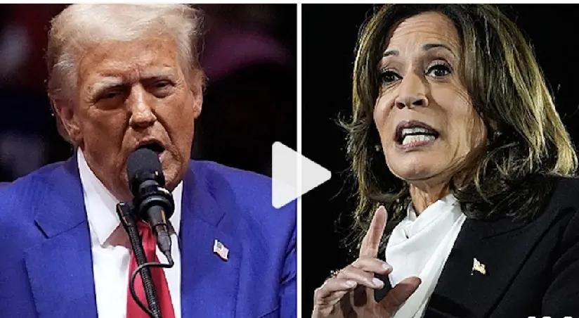 美国大选已经进入了读秘阶段，各方信息显示特朗普几乎已经稳操胜券，但美国大选结果在