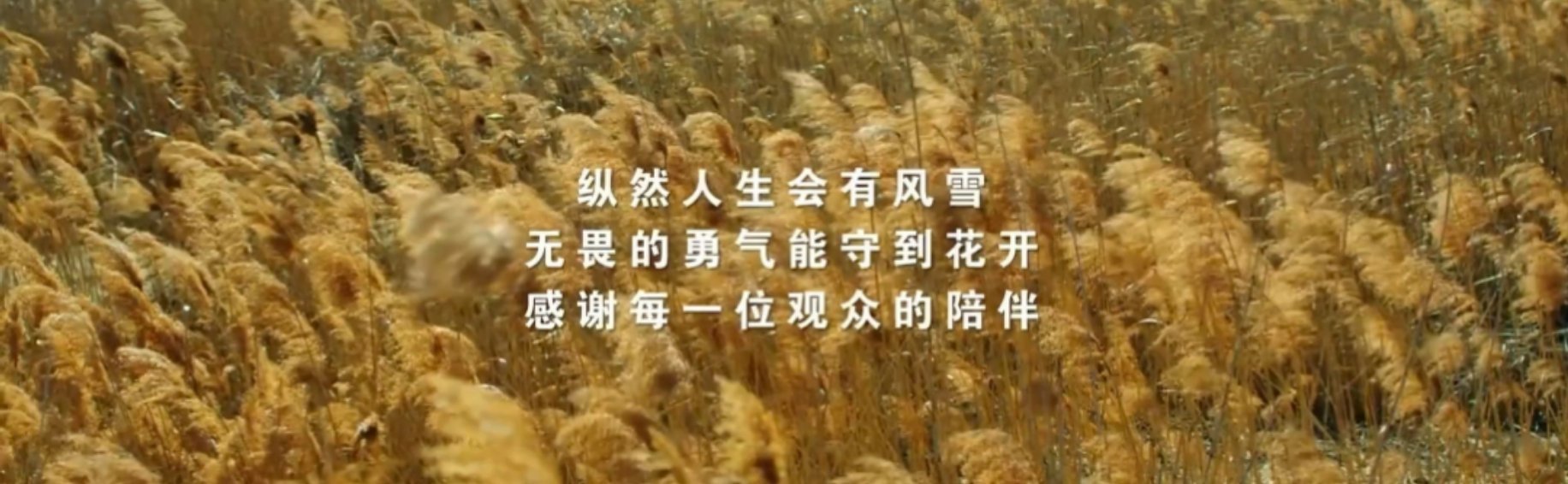 《长安二十四计》很好，观众很喜欢，观众的喜欢是基于作品质量的发自内心的喜欢，而不