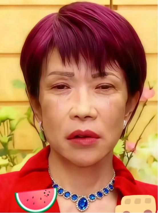 日本媒体11月30日爆出一则消息：中国12月飞往日本的航班中，有904个班次被突