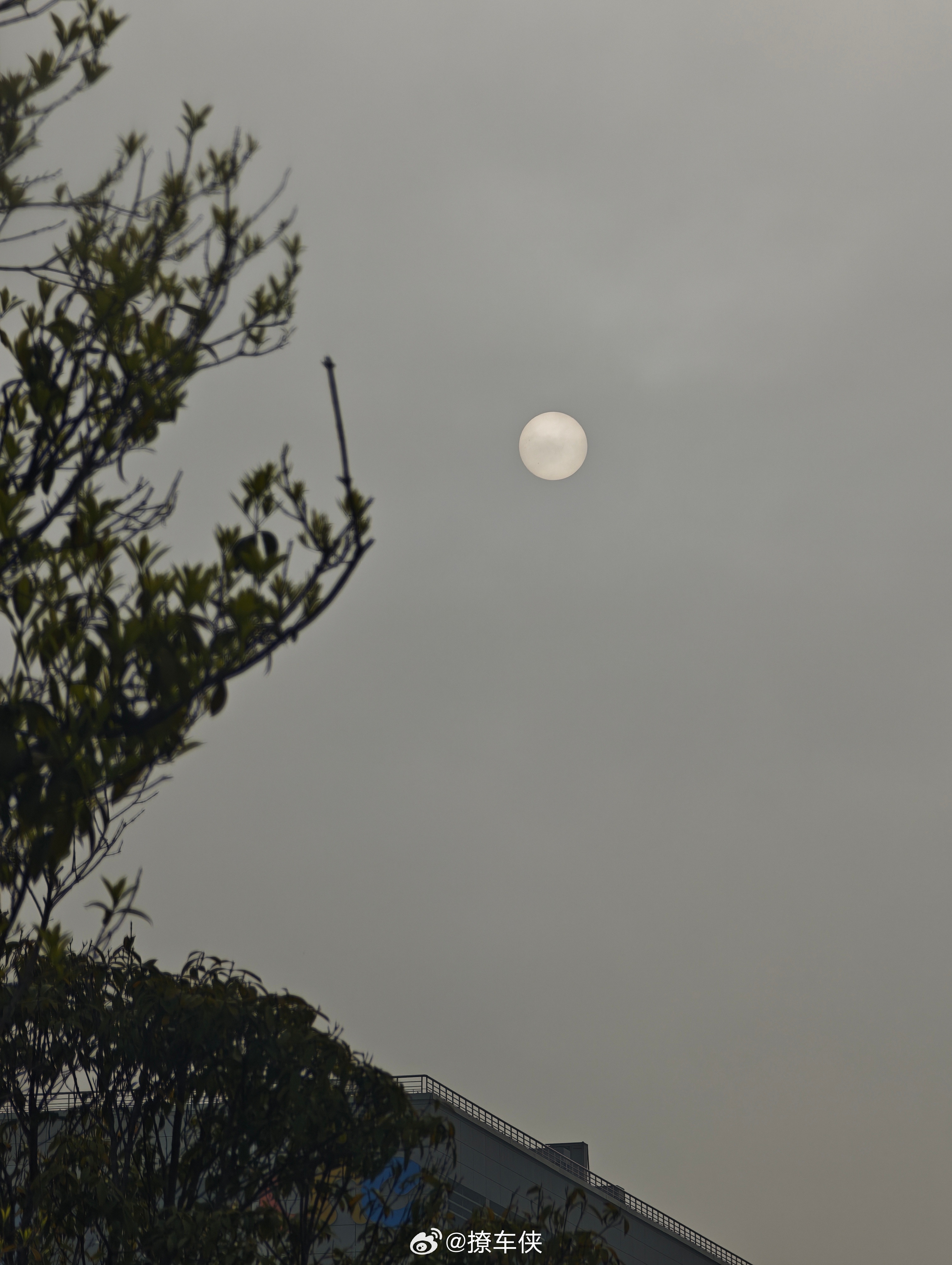 早上送娃上学，问我这是太阳还是月亮