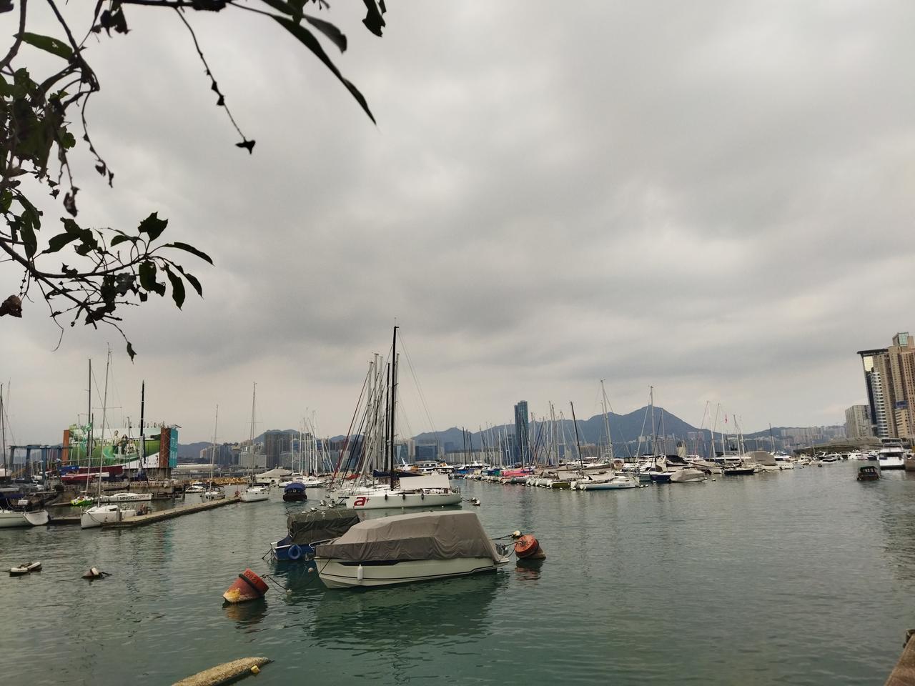 现在的信息社会学点知识太方便了，打开抖音搜到自行车掉链子了，是啥原因怎么办？
看