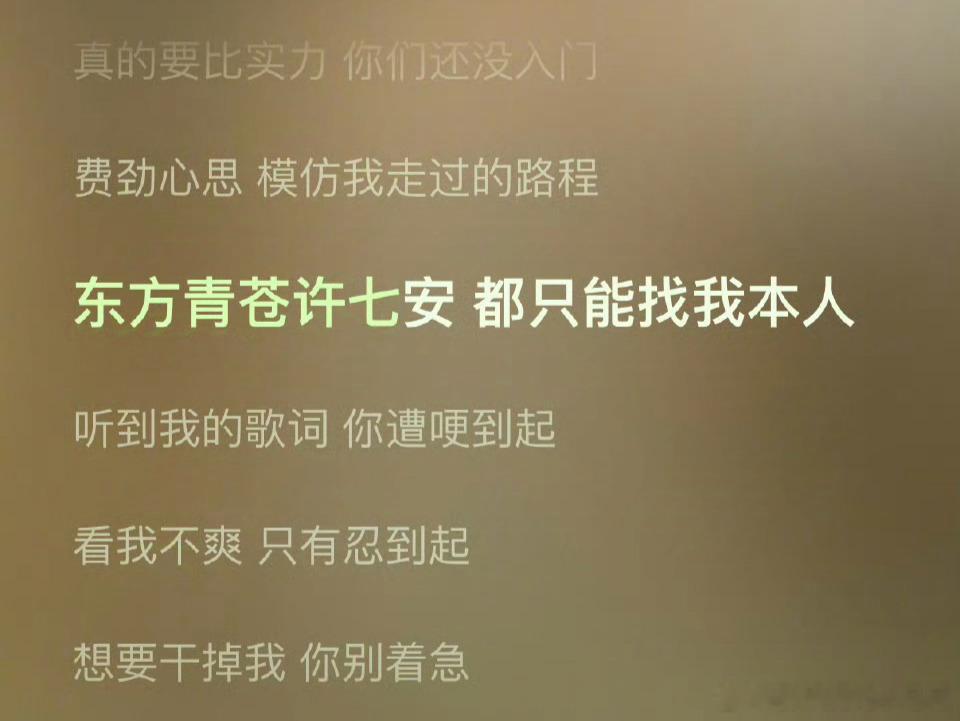 我寻思着这歌词就是拽，但完全没啥问题吧。因为东方青苍、许七安就是王鹤棣本人出演。