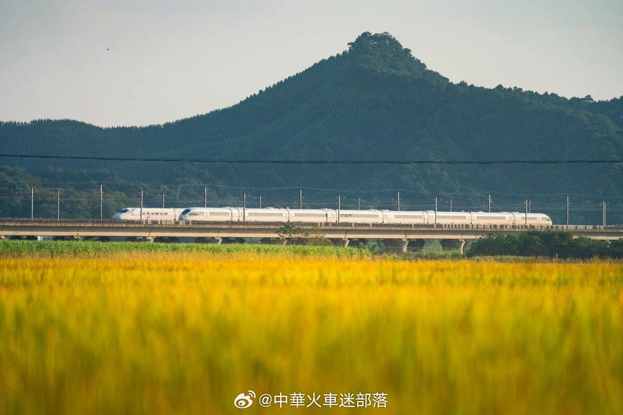 铁路,晚安 做一个最单纯的人，走一段最幸福的路。晚安~ 