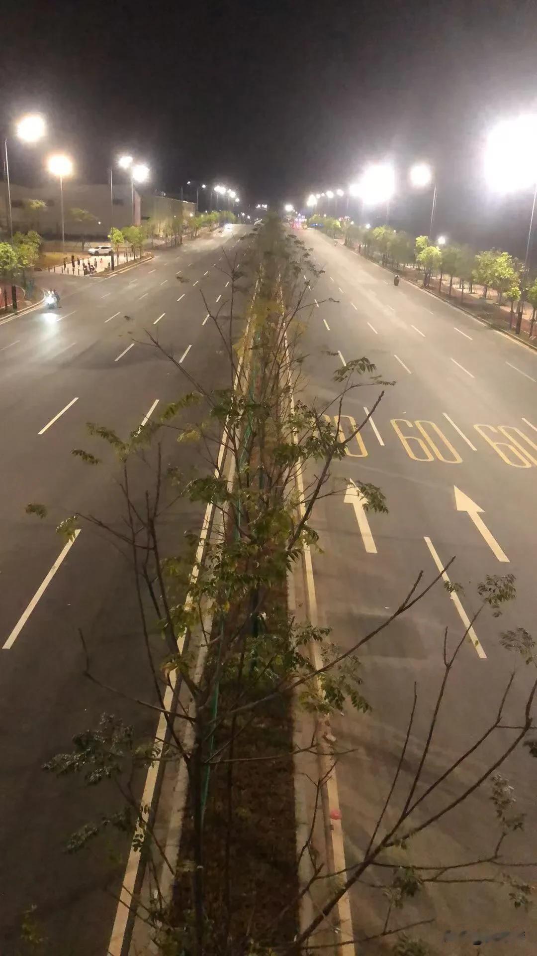 广州国际商业港在建的南北向一号大道——新花大道！东西向一号大道应该是已经建成的花